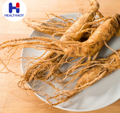 الجنسنج (Ginseng)