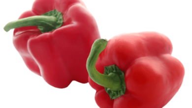 الفلفل الأحمر (Capsicum)