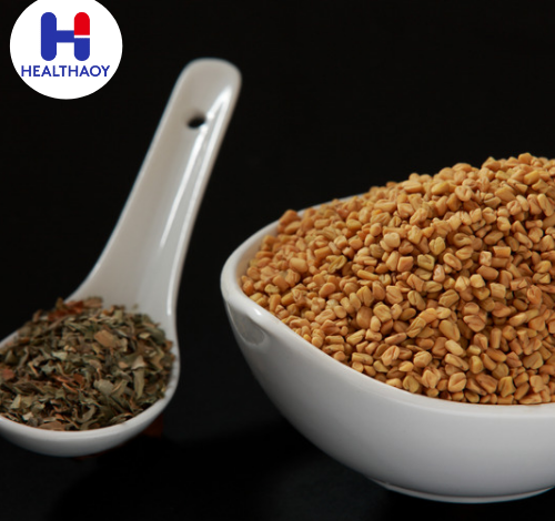 فوائد الحلبة